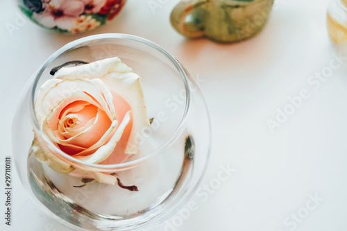 pink rose in a glass round vase