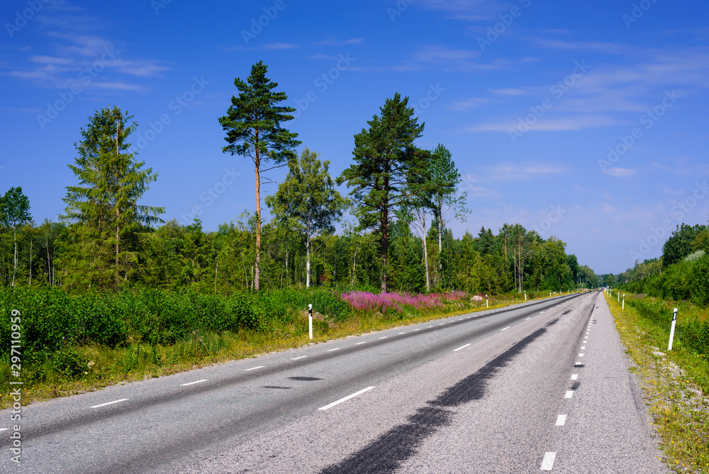 Asphalt road on the background of blue sky with clouds. Typical landscape of Estonia