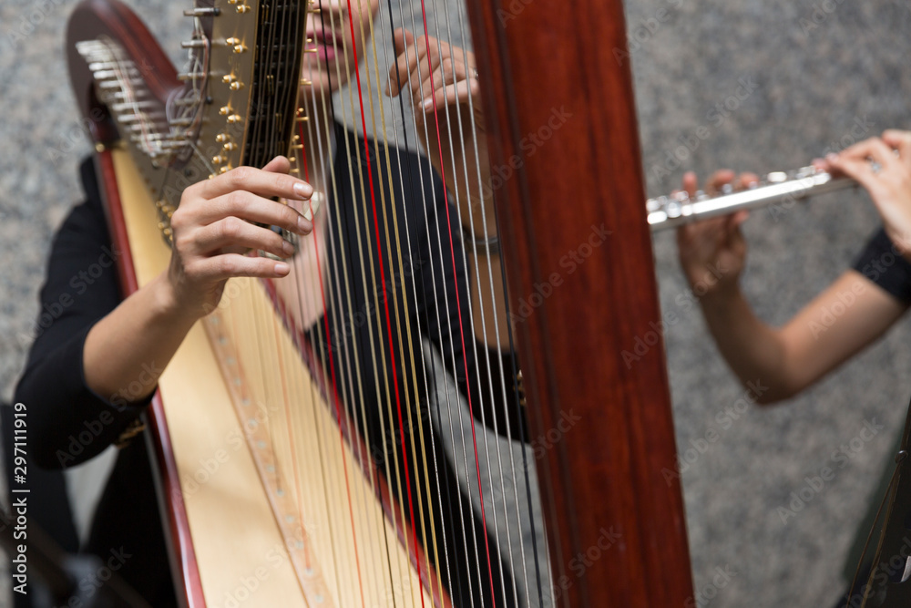 harp player female musician, hand detail