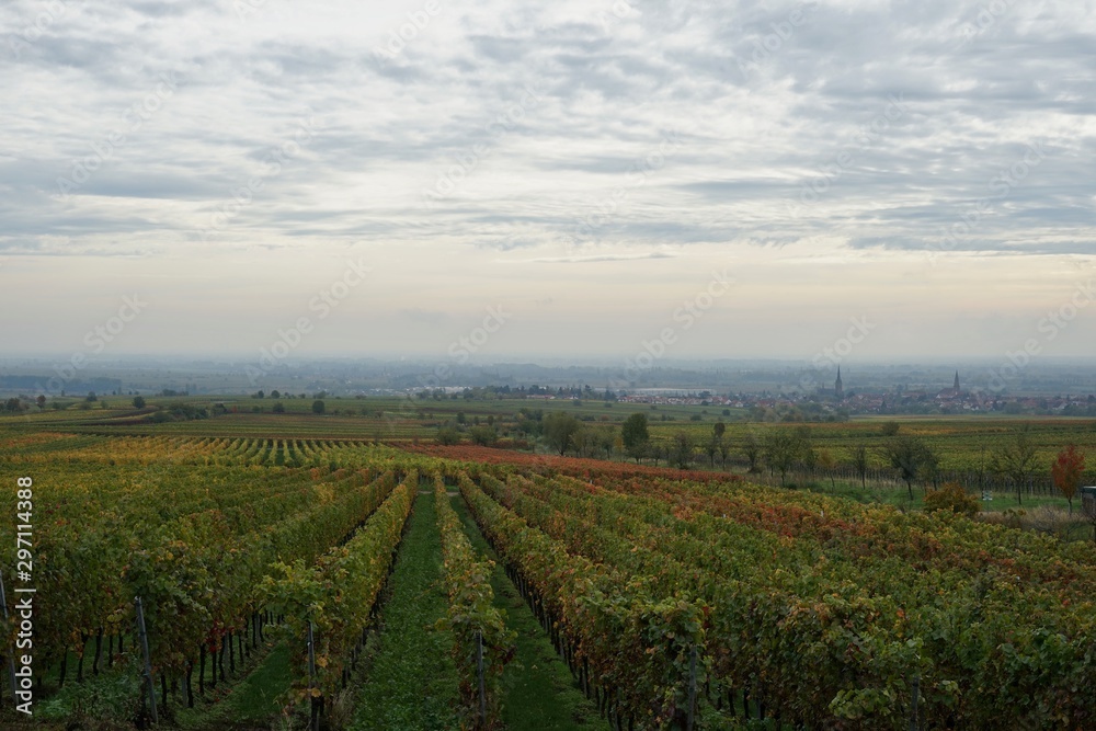 Panoramablick vom Hügel der Kropsburg in der Pfalz