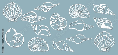 Shells of the sea. Laser cutting. Craft paper for decoration. Plotter, screen printing. photo
