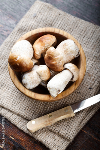 boletus mushrooms in a plate with space for text