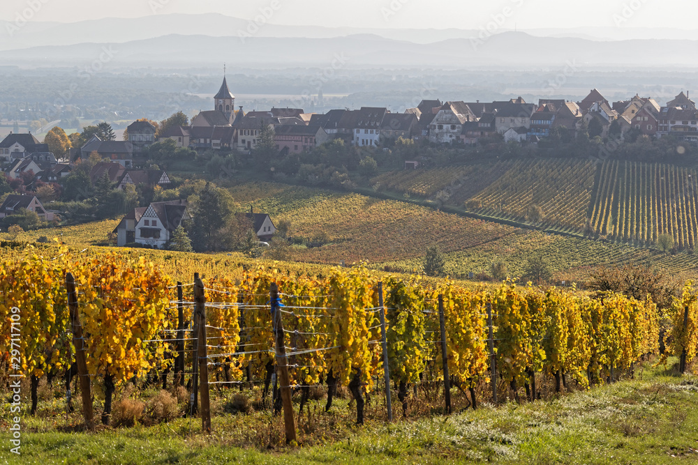 Zellenberg, an alsatian village surrounded by the vineyards