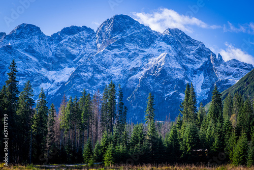Fototapeta Naklejka Na Ścianę i Meble -  Widok z Włosienicy na Mieguszowiecki Szczyt - Tatry 