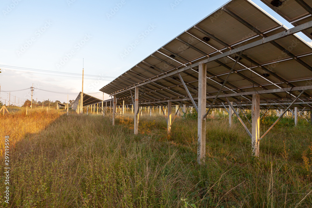 landscape of solar cell farm power plant.Solar panel on sunset background. Solar cell on overgrown grass background.