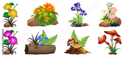 Large set of colorful flowers on rocks and wood