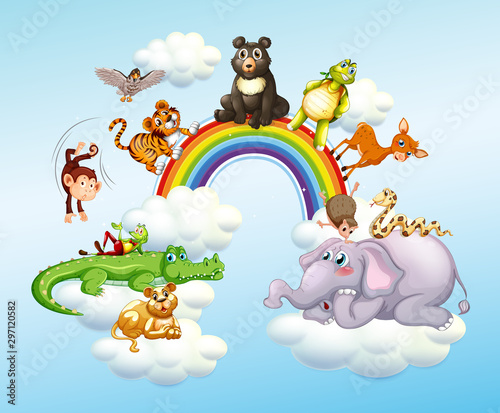 Many wild animals over the rainbow