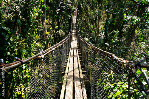Suspended bridges at top of the trees in Parc Des Mamelles, Guadeloupe Zoo in the middle of the rainforest on Chemin de la Retraite, Bouillante. French Caribbean.