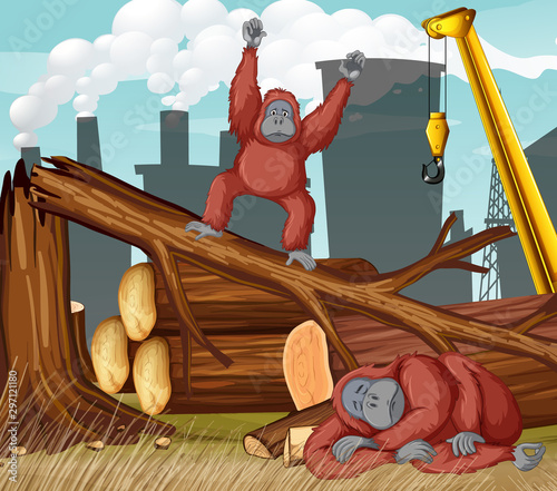 Scene with chimpanzee and deforestation