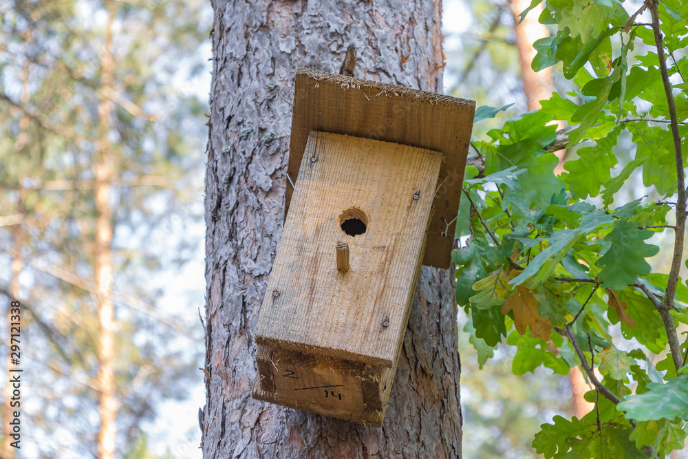 New wooden birdhouse on a tree for forest birds in the forest New wooden birdhouse on a tree for forest birds in the forest