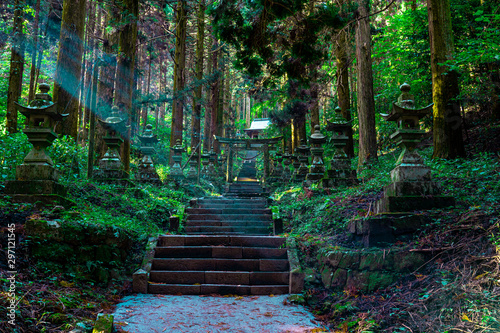 Obraz na plátně shrine in the forest, Aso, Kumamoto