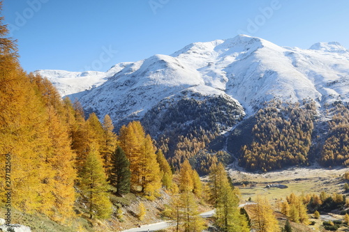Goldener Oktober im Val Livigno © Reinhold Einsiedler