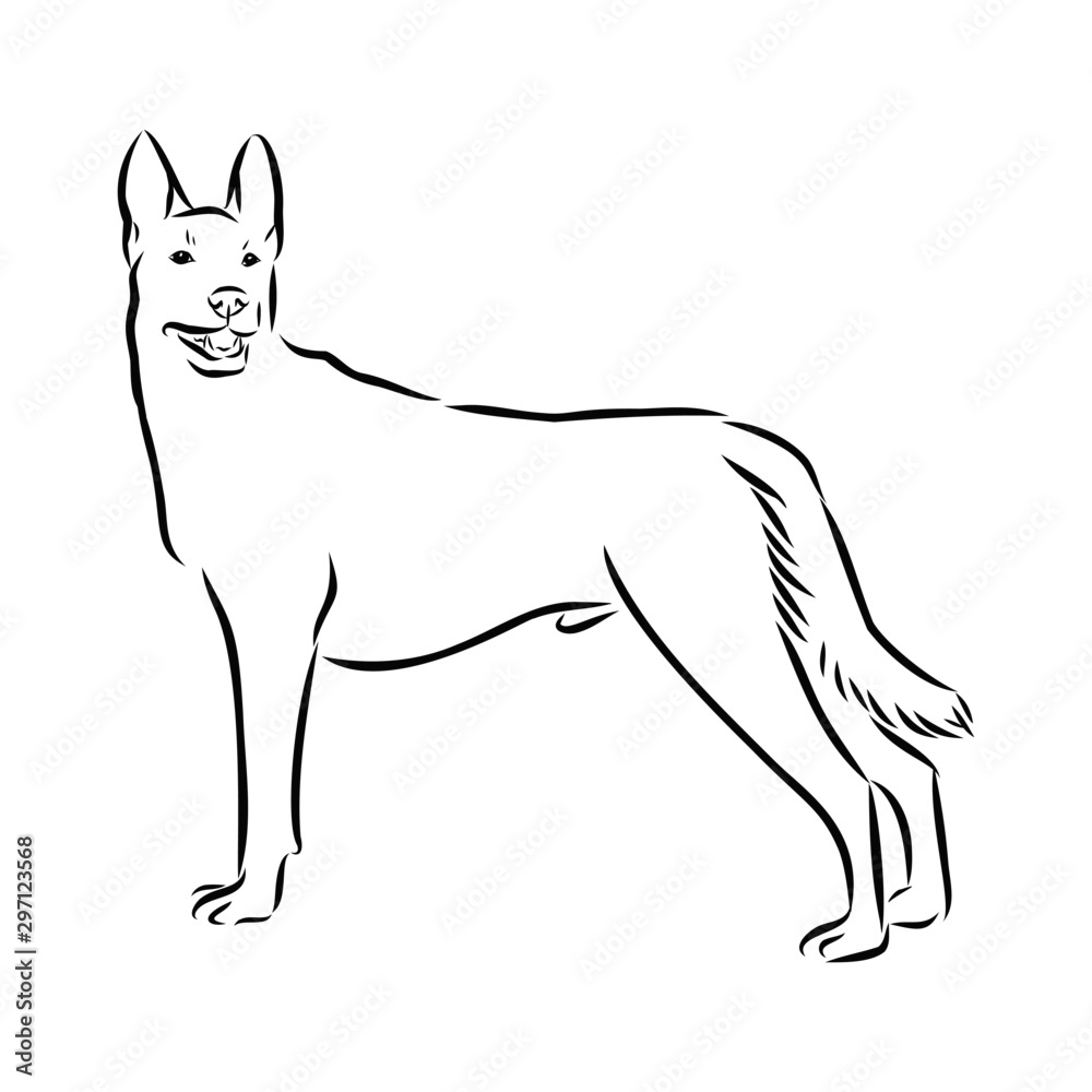 Obraz premium vector image of dog