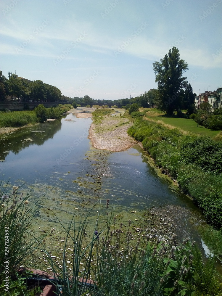 Obraz premium river in forest