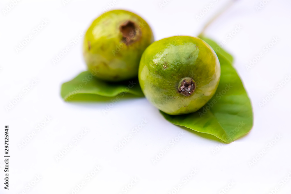 Obraz premium Fresh Guava fruit with leaves on white background. Selective focus