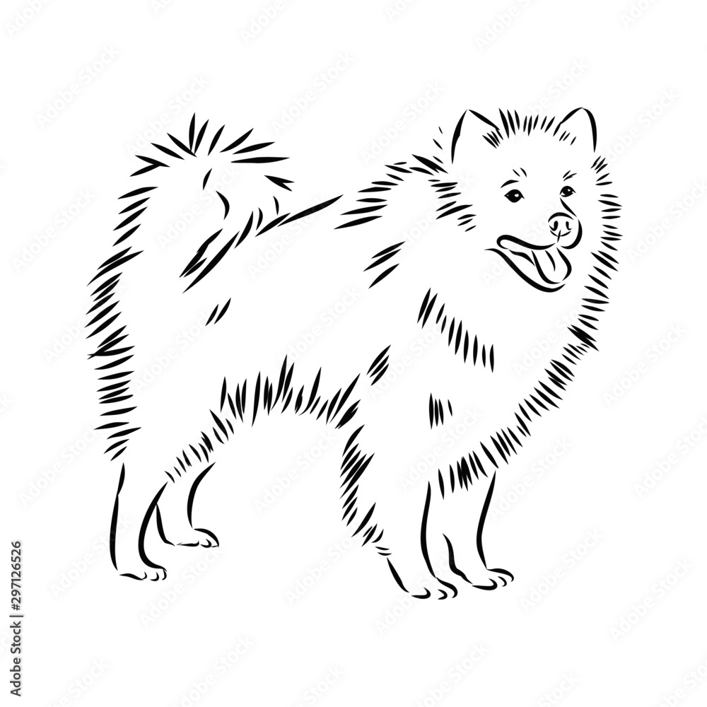 vector image of an dog, wolf spits 