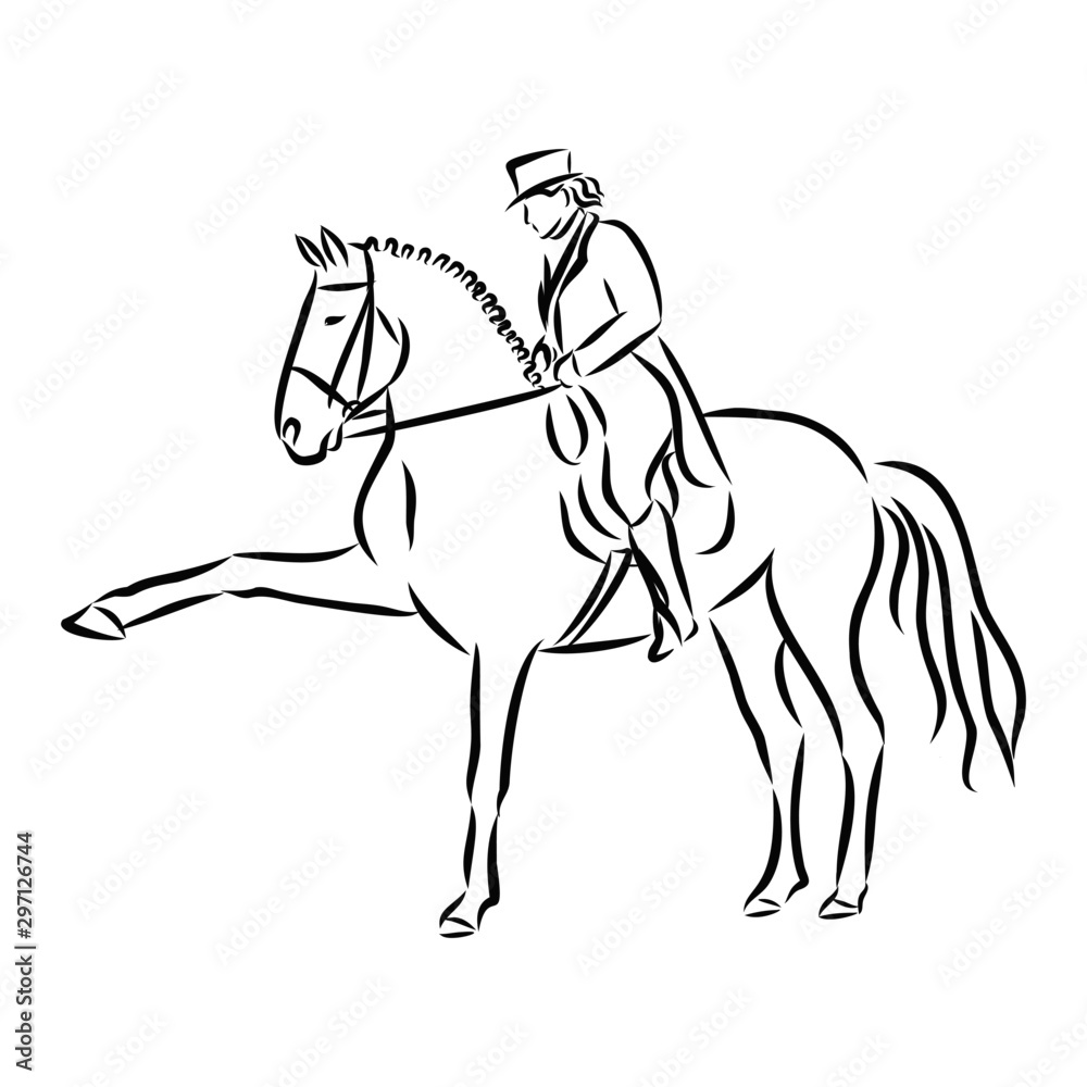 vector illustration of horse