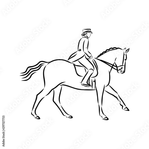 horse isolated on white background