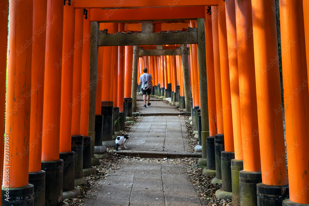 Thousands of torii gates at Fushimi Inari Shrine in Kyoto, Japan Thousands of torii gates at Fushimi Inari Shrine in Kyoto, Japan