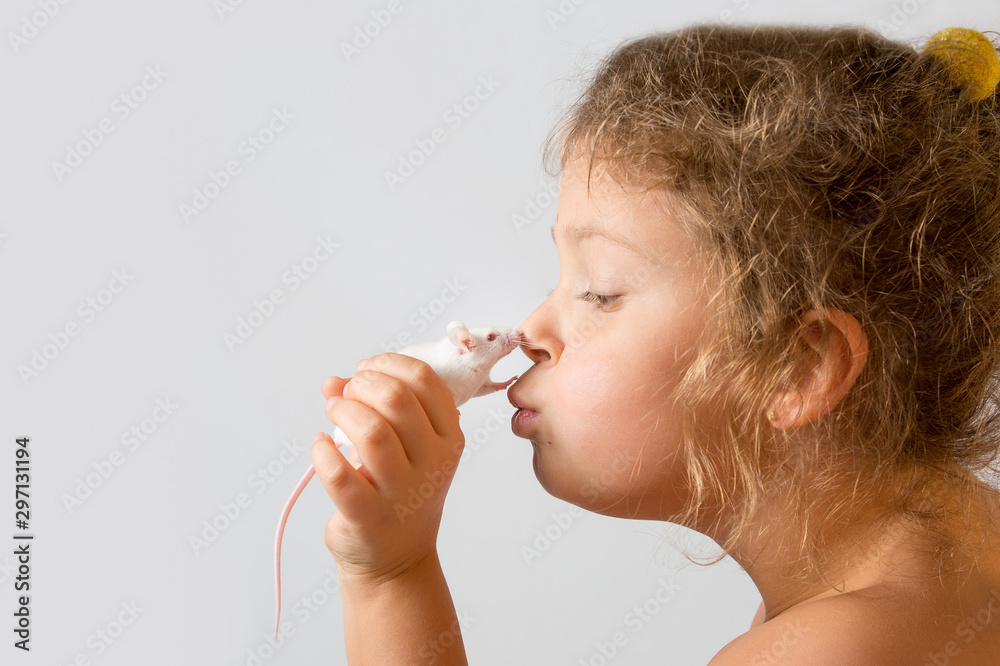 Cute little girl kisses a white mouse. Spread of love. Caring for animals. Sweet childhood. Childhood concept. Cute little girl kisses a white mouse. Spread of love. Caring for animals. Sweet childhood. Childhood concept.