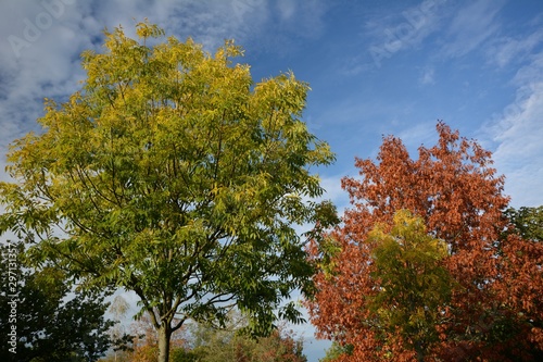 Autumnal Impressions from Falkensee in Brandenburg, near Berlin Spandau on October 20, 2019, Germany