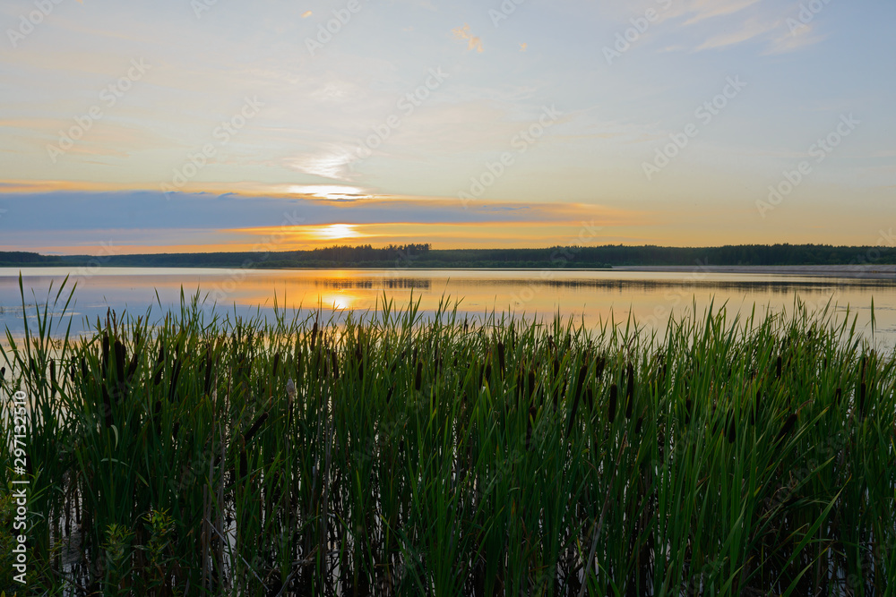 Evening summer landscape with the setting sun over the lake