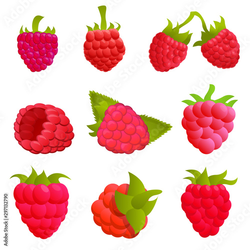 Raspberry icons set. Cartoon set of raspberry vector icons for web design