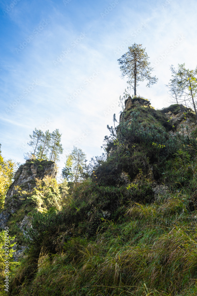 Bayrische Alpen