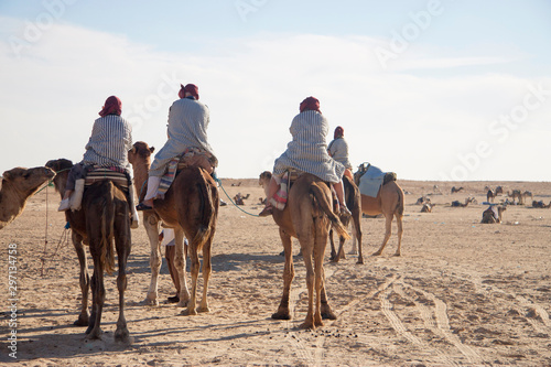 Group of bedouins over dromedary camel walking in the sands © scullery