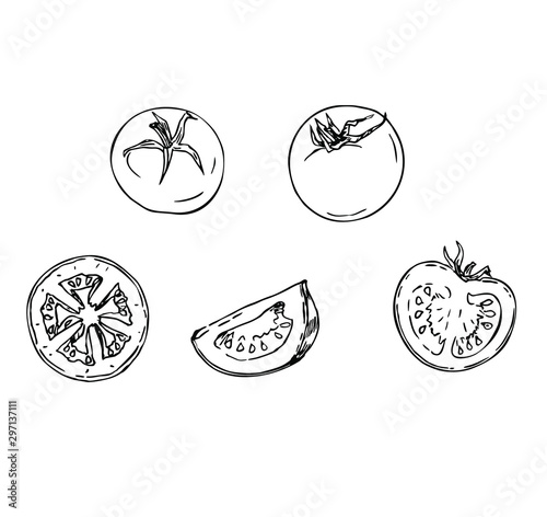 Tomato set in line art style.