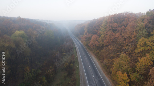 Photo of an autumn forest aerial view at sunset.