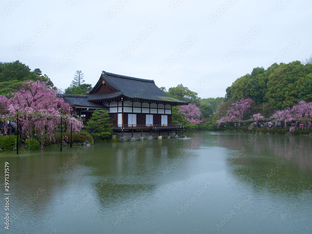 京都_平安神宮_桜