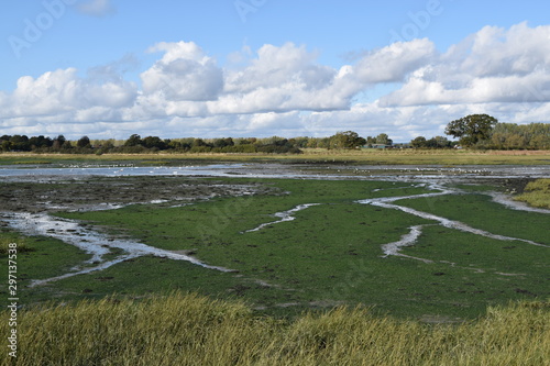 Tidal wetland called Fishbourne Channel, Sussex, England