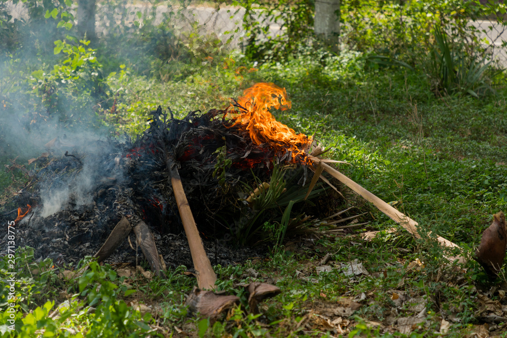 Burning dry grass in the garden in spring, Closeup fire Burning dry grass in the garden in spring, Closeup fire