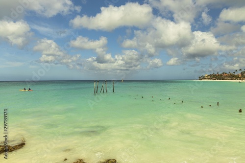 Pelican and gulls sitting on logs. Turquoise water and blue sky background. Caribbean. Aruba. Amazing nature background.