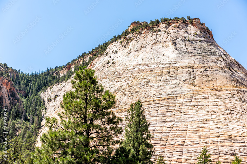 Desert landscape view of light white rock cliffs formation called Checkerboard mesa and trees in summer day in Zion National Park in Utah Desert landscape view of light white rock cliffs formation called Checkerboard mesa and trees in summer day in Zion National Park in Utah