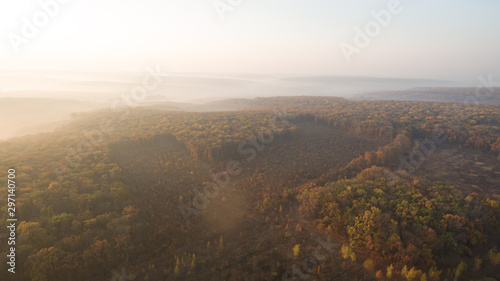 Autumn forest aerial view at sunset.