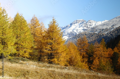 Goldener Oktober im Val Livigno