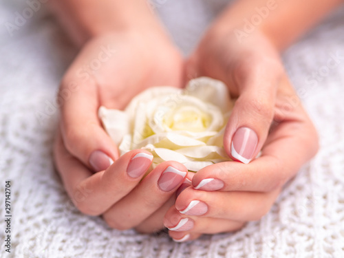 Manicure salon and spa concept  rose flower in woman s hands with beautiful french manicure on a white knitted background