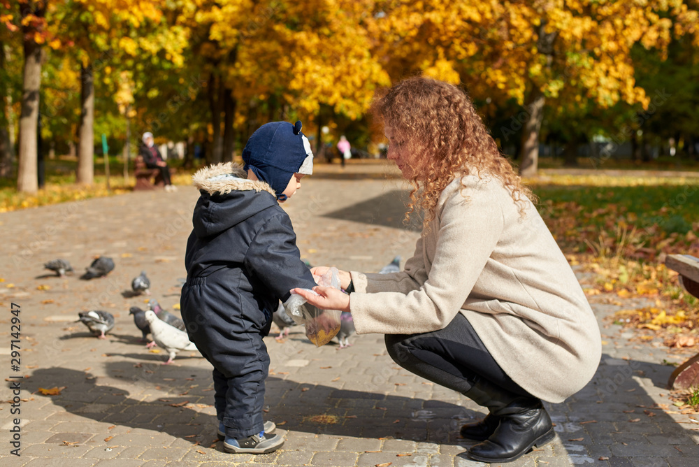 Fototapeta premium Mom with a son feed pigeons in the park in the fall.