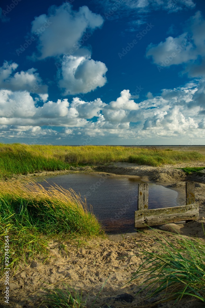 Fototapeta premium kleiner Teich
