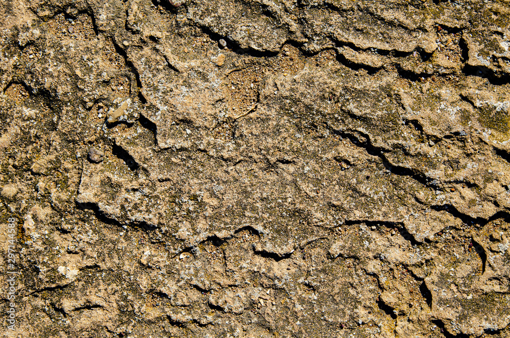 Background, natural stone, rock on the seashore. Background, natural stone, rock on the seashore.