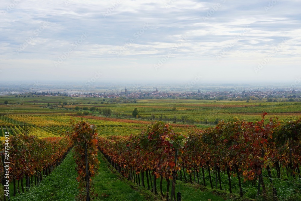 Stimmungsvolle Herbstlandschaft der Südlichen Weinstrasse