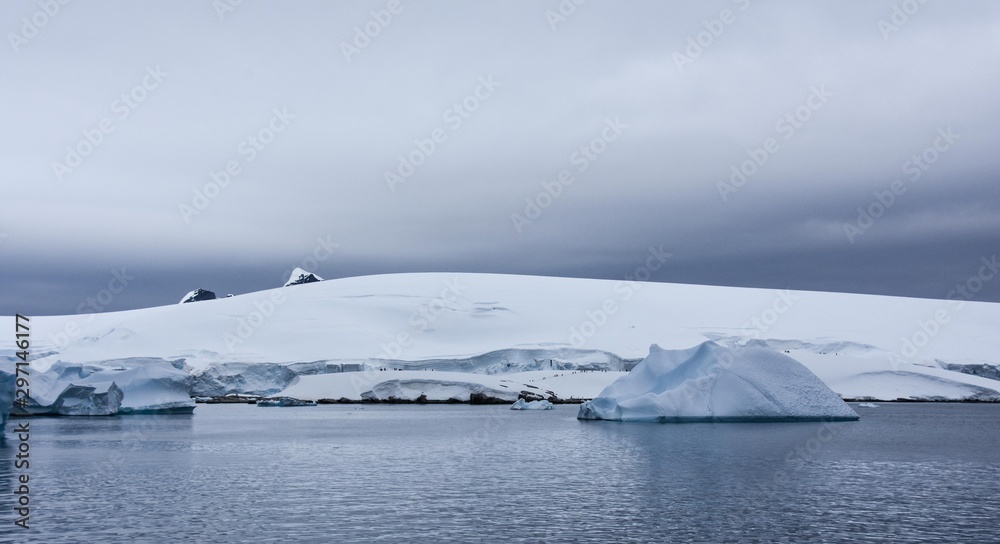 paysage antarctique glacé