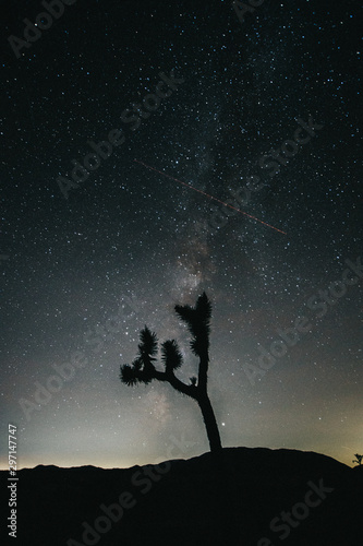 Joshua Tree Milky Way / Arch Rock