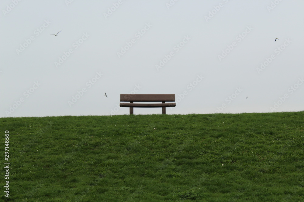 Fototapeta premium bench in park