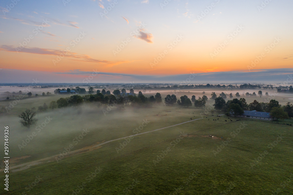 foggy sunrise over farmland