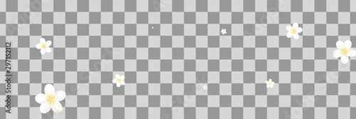 Frangipani leaves. Falling Bali plumeria flower. Hawaii nature texture.