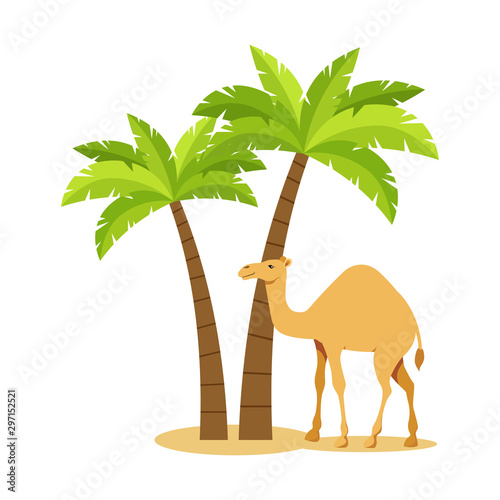 Camel under the palms. vector illustration