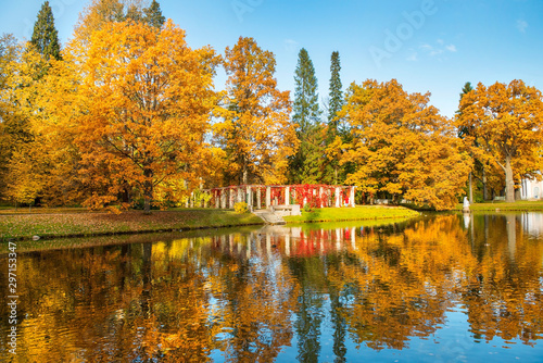 golden autumn and pergola entwined with wild grapes on Chinese pond in the Lomonosov (Oranienbaum) public park, Saint Petersburg, Russia